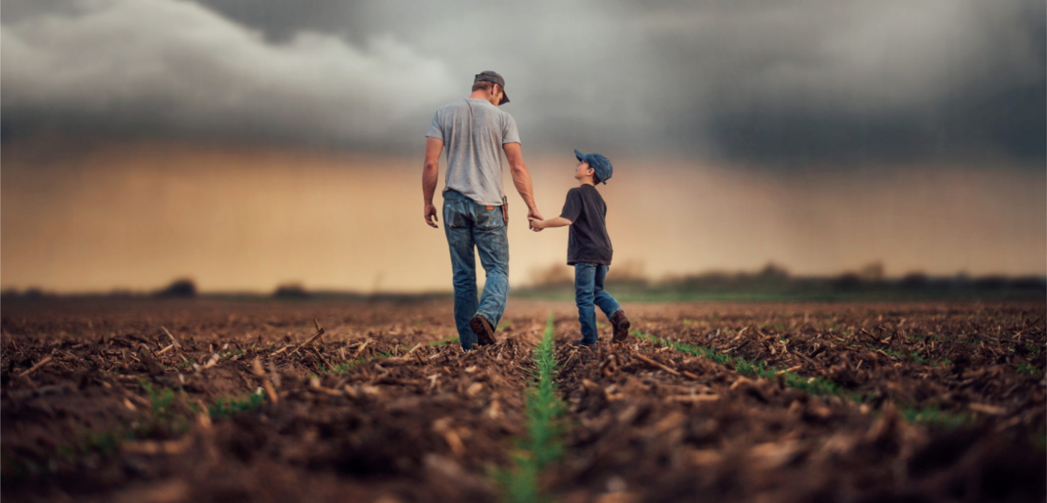 farmer and son between corn rows in spring